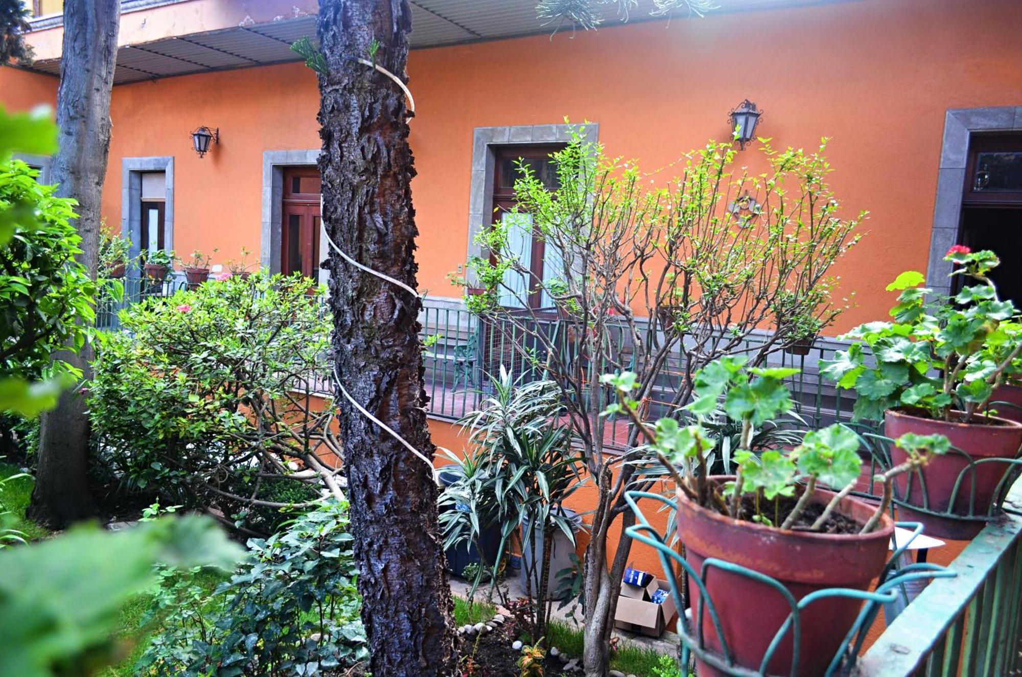 Hacienda Gobernadores مدينة مكسيكو المظهر الخارجي الصورة