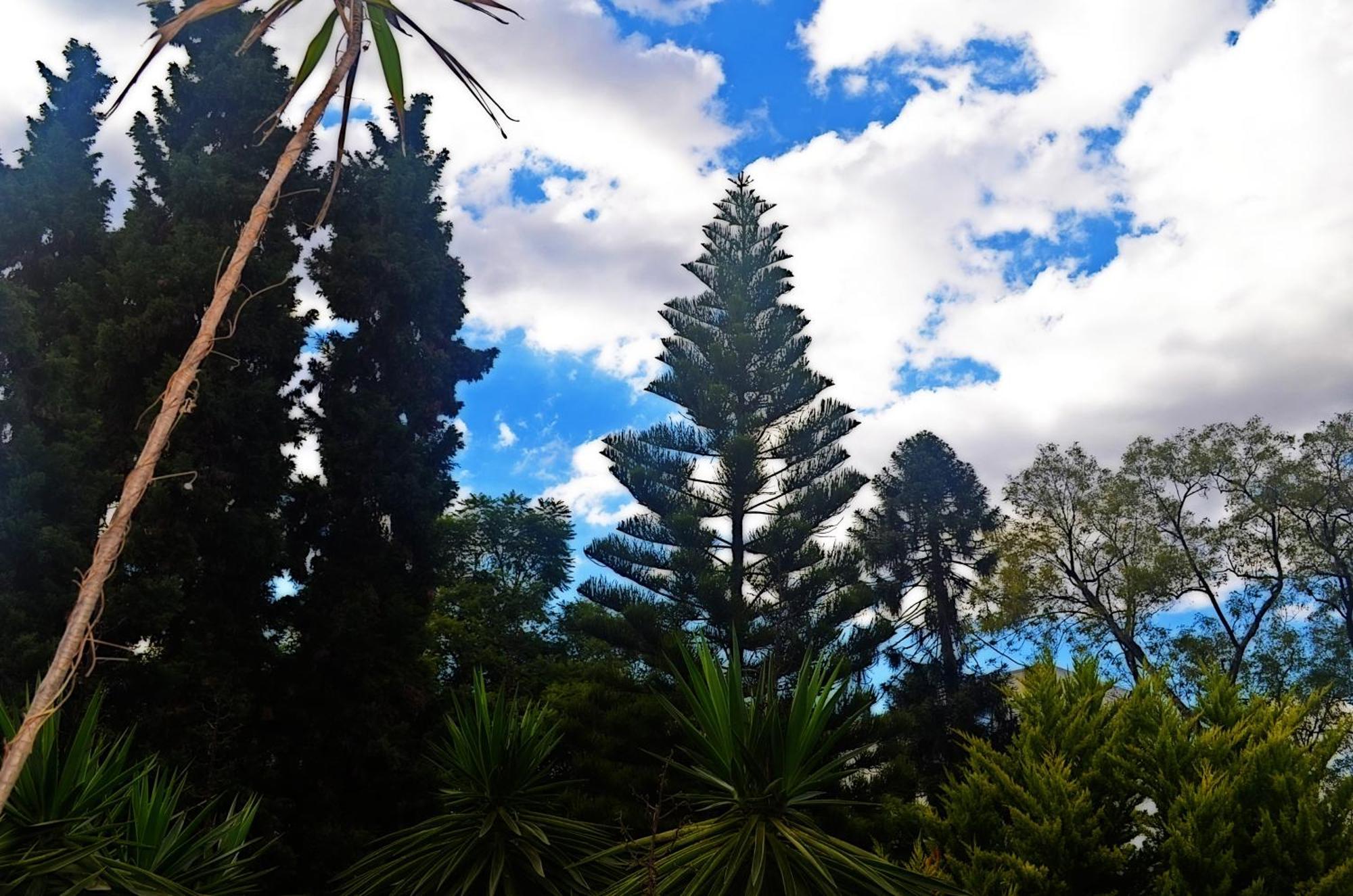 Hacienda Gobernadores مدينة مكسيكو المظهر الخارجي الصورة