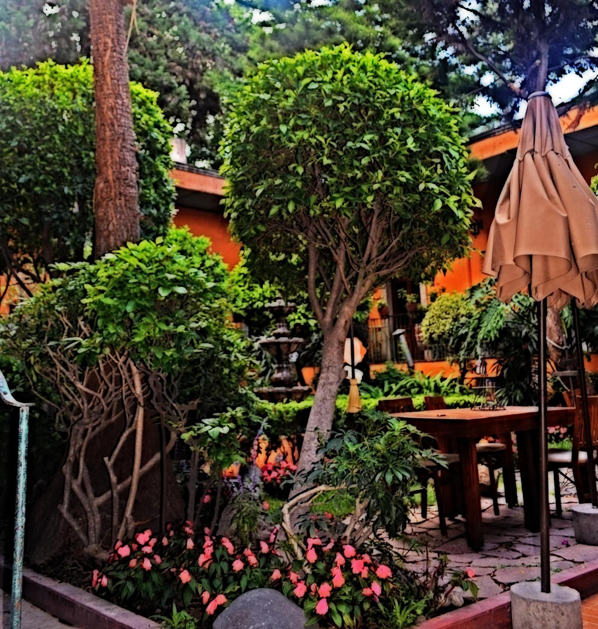 Hacienda Gobernadores مدينة مكسيكو المظهر الخارجي الصورة