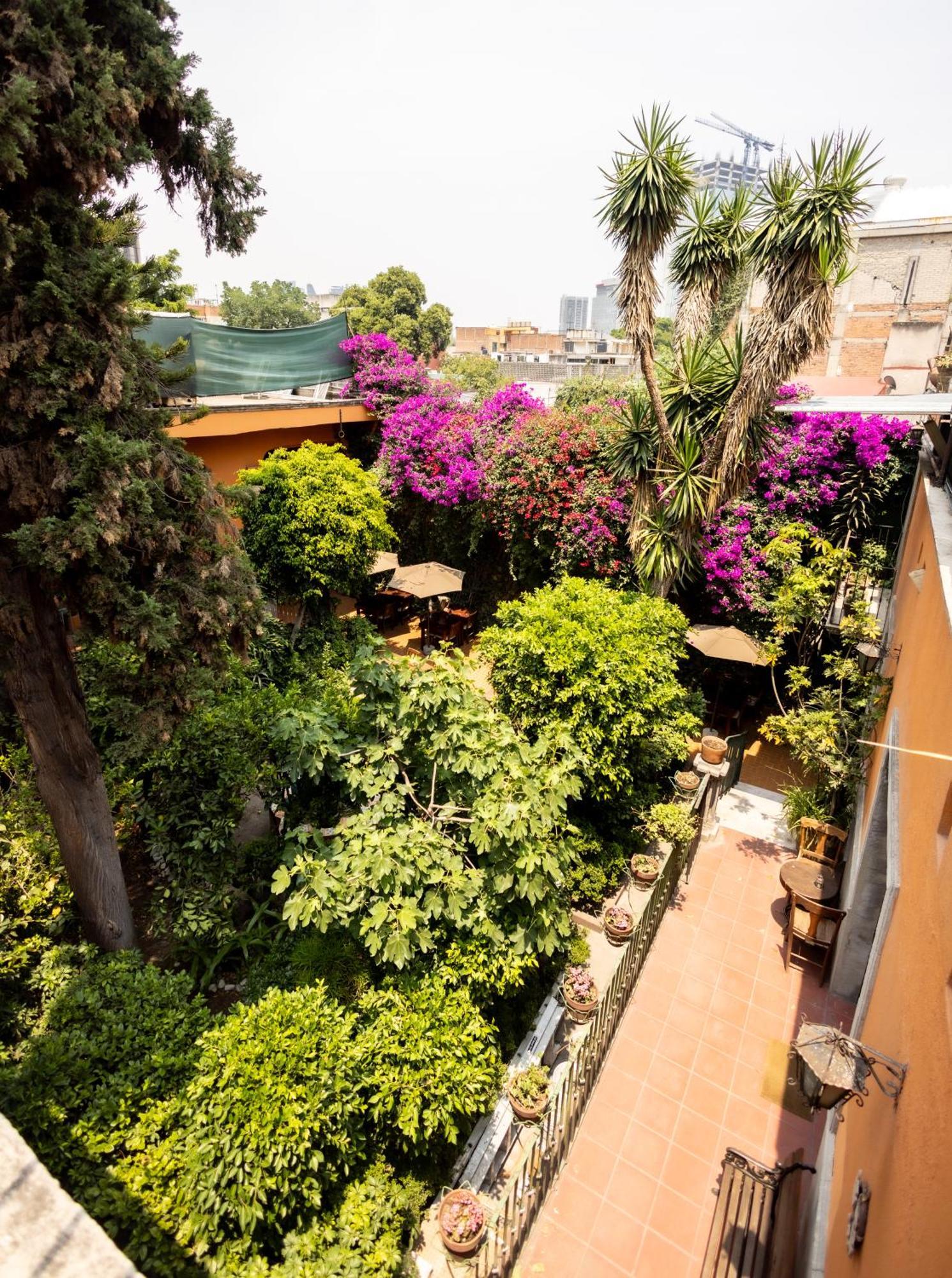 Hacienda Gobernadores مدينة مكسيكو المظهر الخارجي الصورة