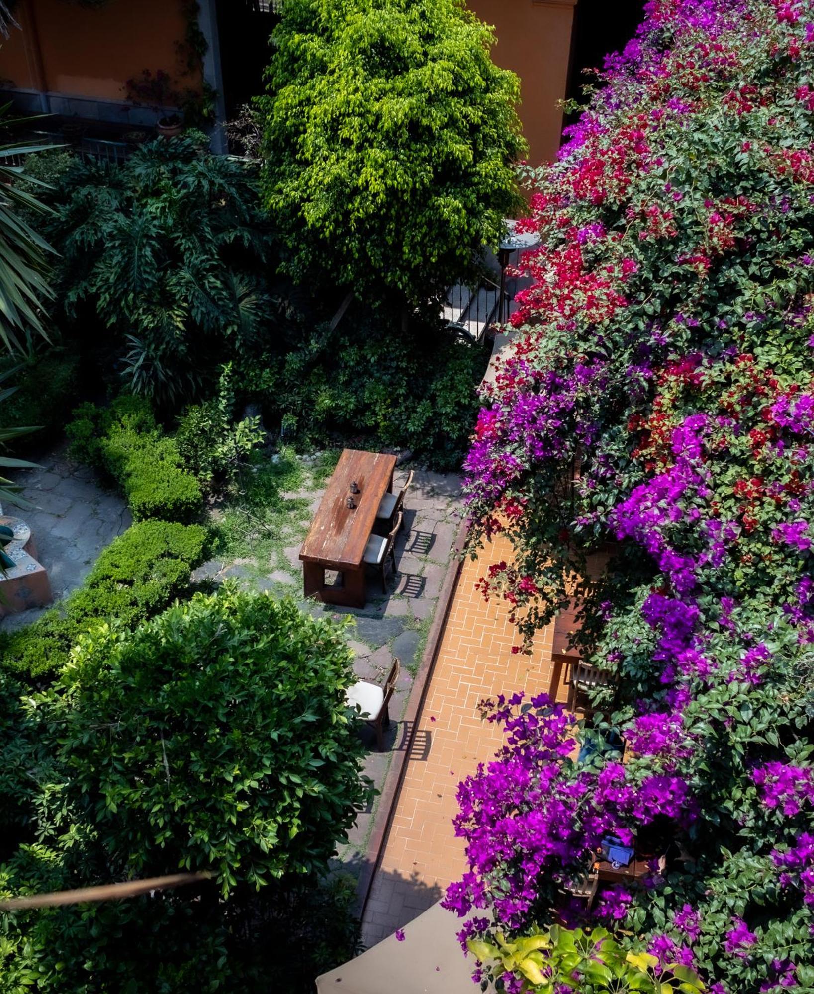 Hacienda Gobernadores مدينة مكسيكو المظهر الخارجي الصورة