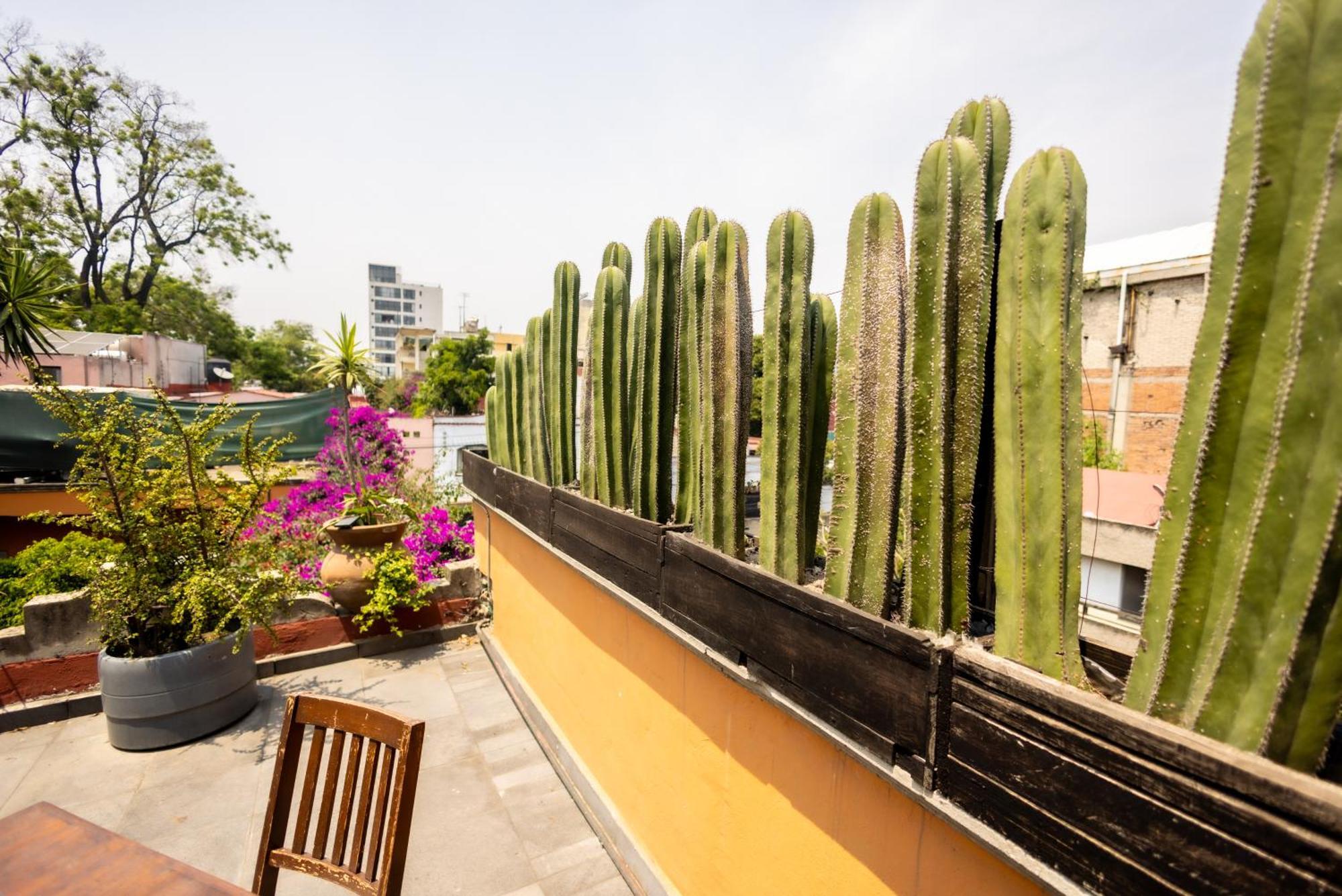 Hacienda Gobernadores مدينة مكسيكو المظهر الخارجي الصورة